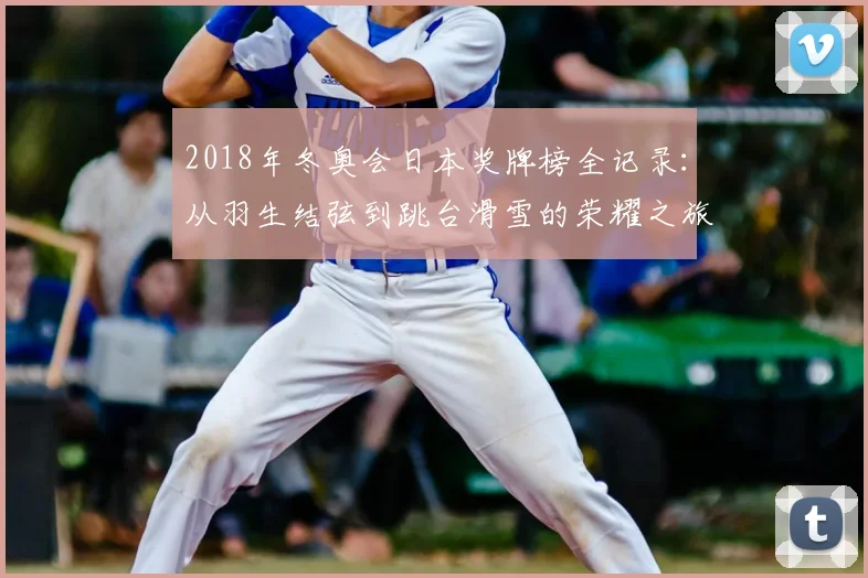 2018年冬奥会日本奖牌榜全记录：从羽生结弦到跳台滑雪的荣耀之旅