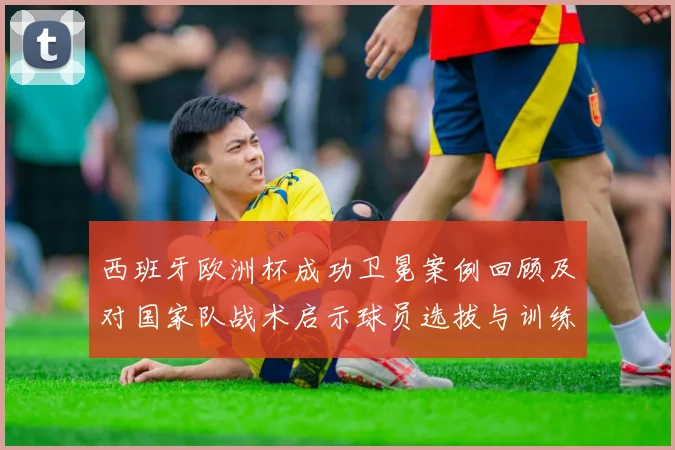 西班牙欧洲杯成功卫冕案例回顾及对国家队战术启示球员选拔与训练