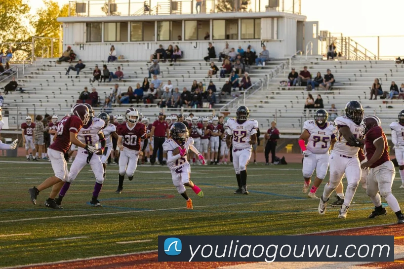 浩瀚体育官方网站首页平台生态图